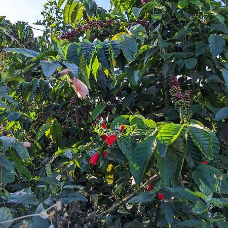 Appartamento Ivy Coffee Farm - Garden House Duc Trong Esterno foto