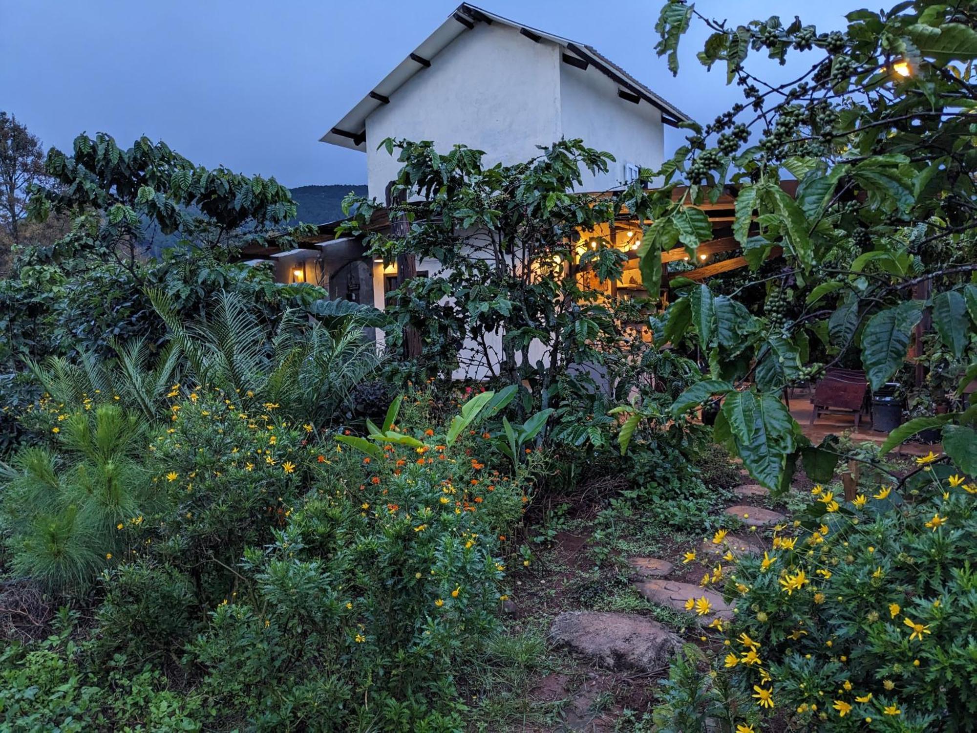 Appartamento Ivy Coffee Farm - Garden House Duc Trong Esterno foto
