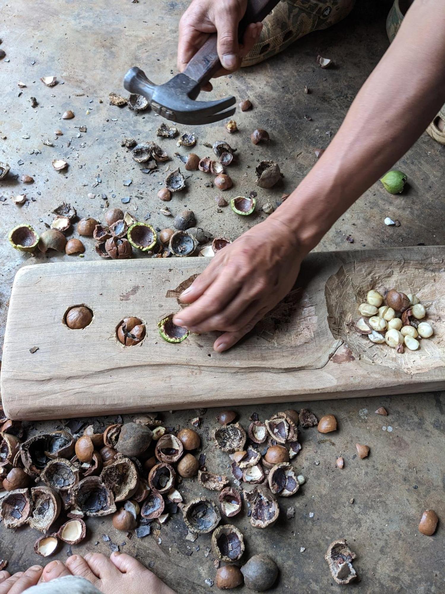 Appartamento Ivy Coffee Farm - Garden House Duc Trong Esterno foto