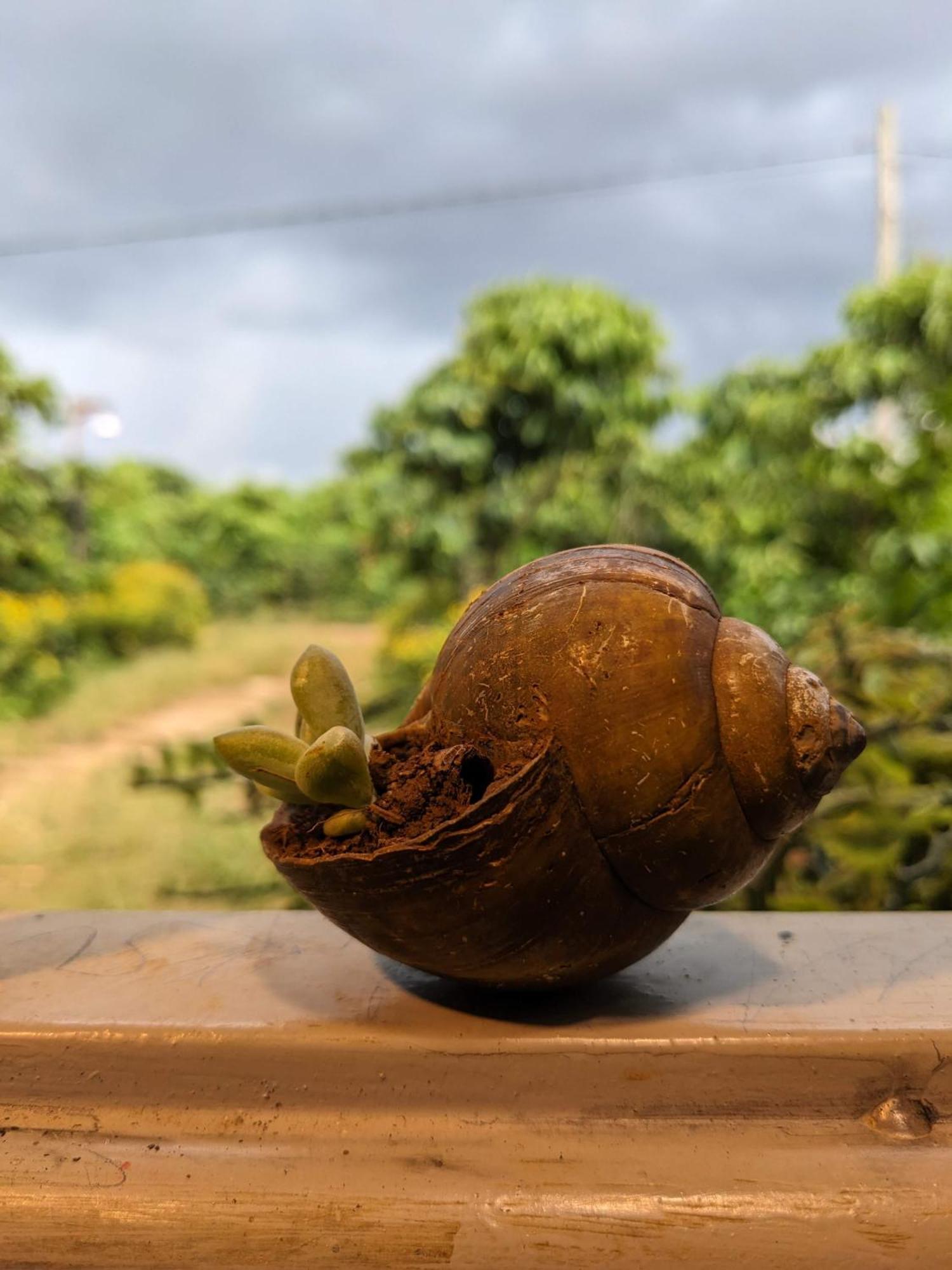 Appartamento Ivy Coffee Farm - Garden House Duc Trong Esterno foto