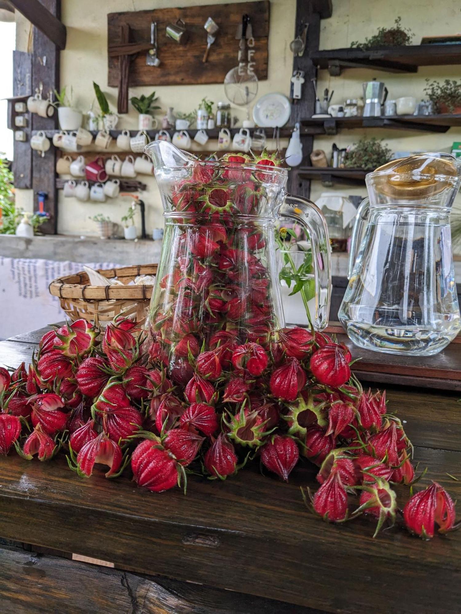 Appartamento Ivy Coffee Farm - Garden House Duc Trong Esterno foto