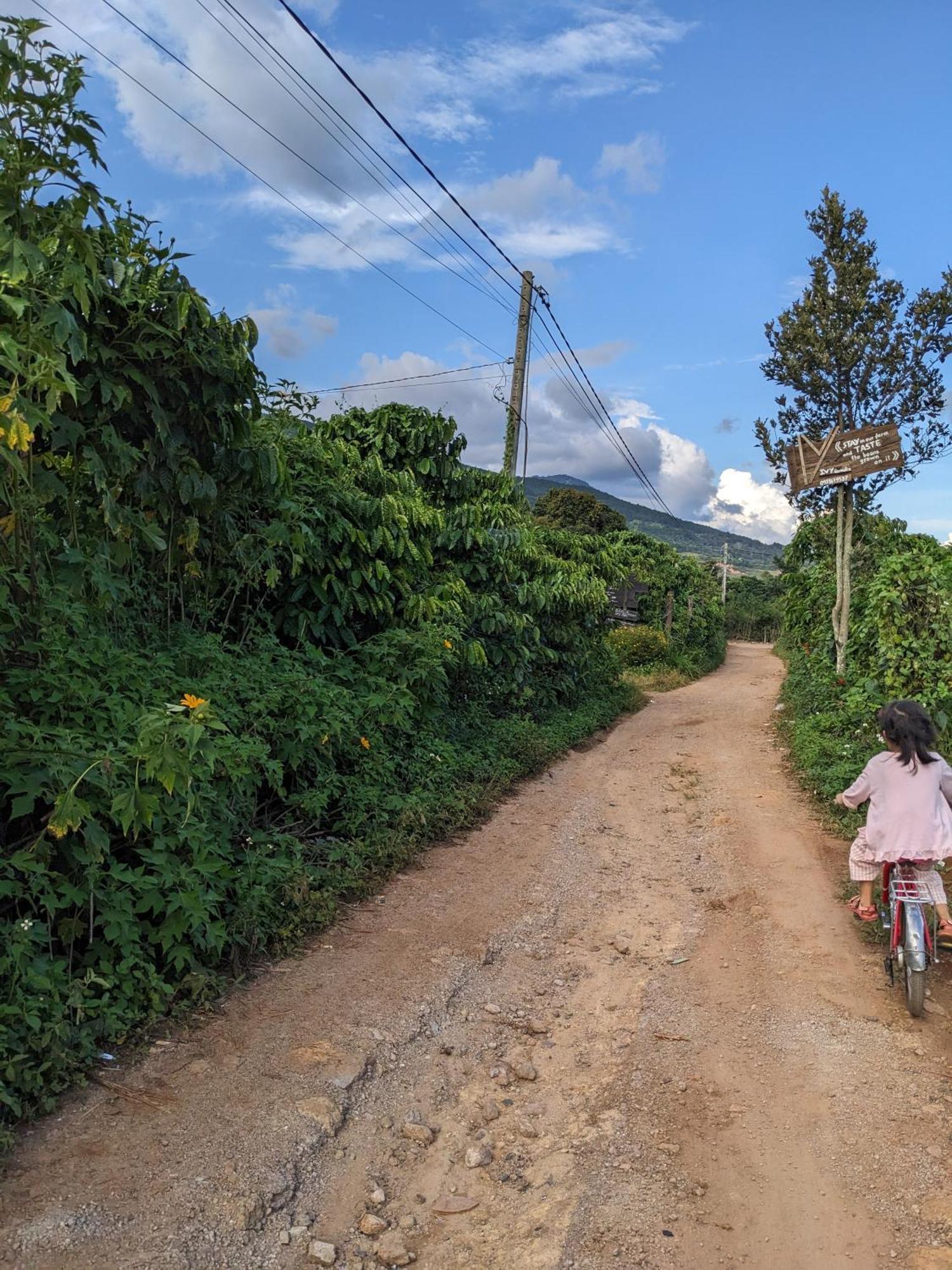 Appartamento Ivy Coffee Farm - Garden House Duc Trong Esterno foto