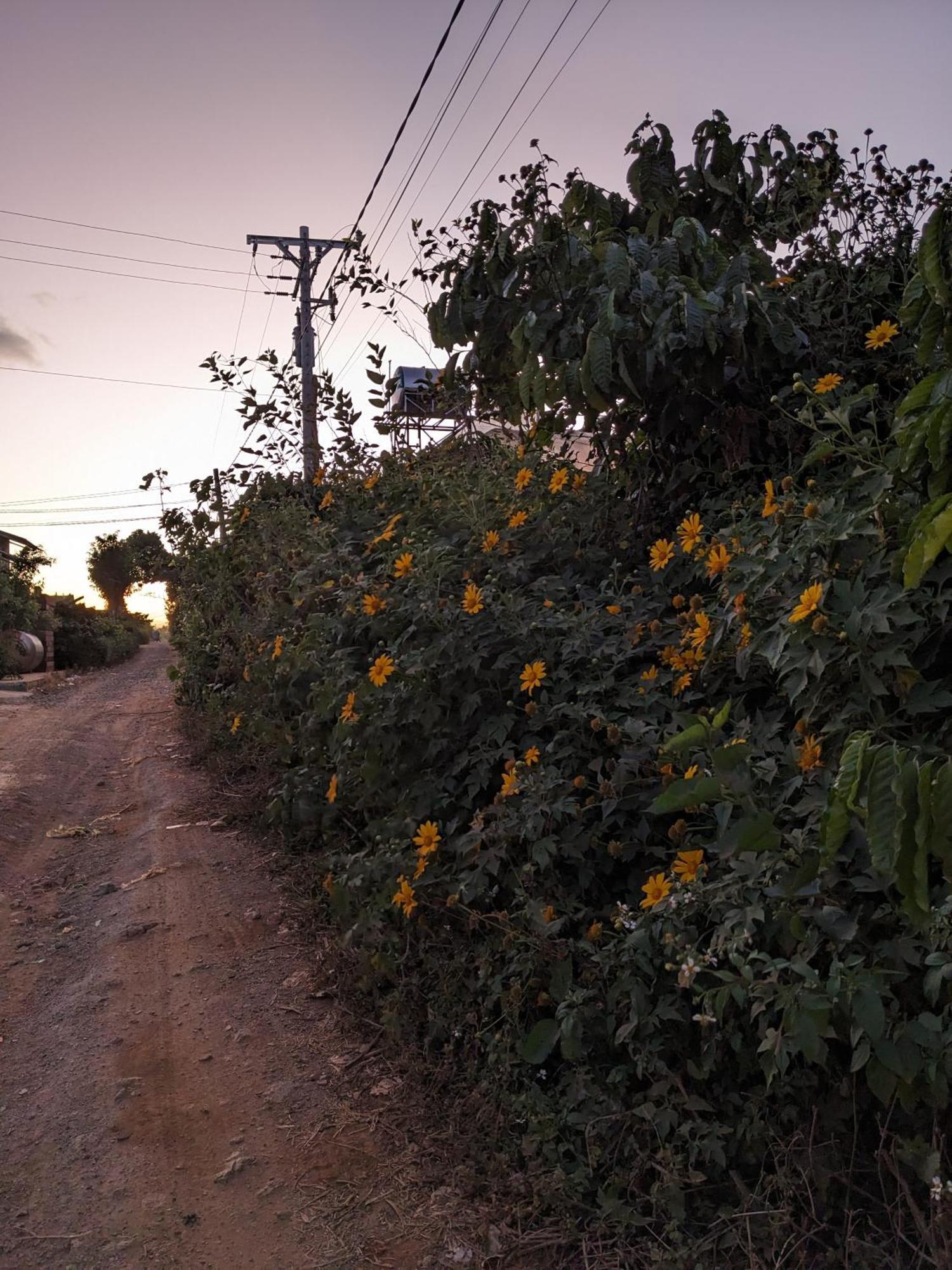 Appartamento Ivy Coffee Farm - Garden House Duc Trong Esterno foto
