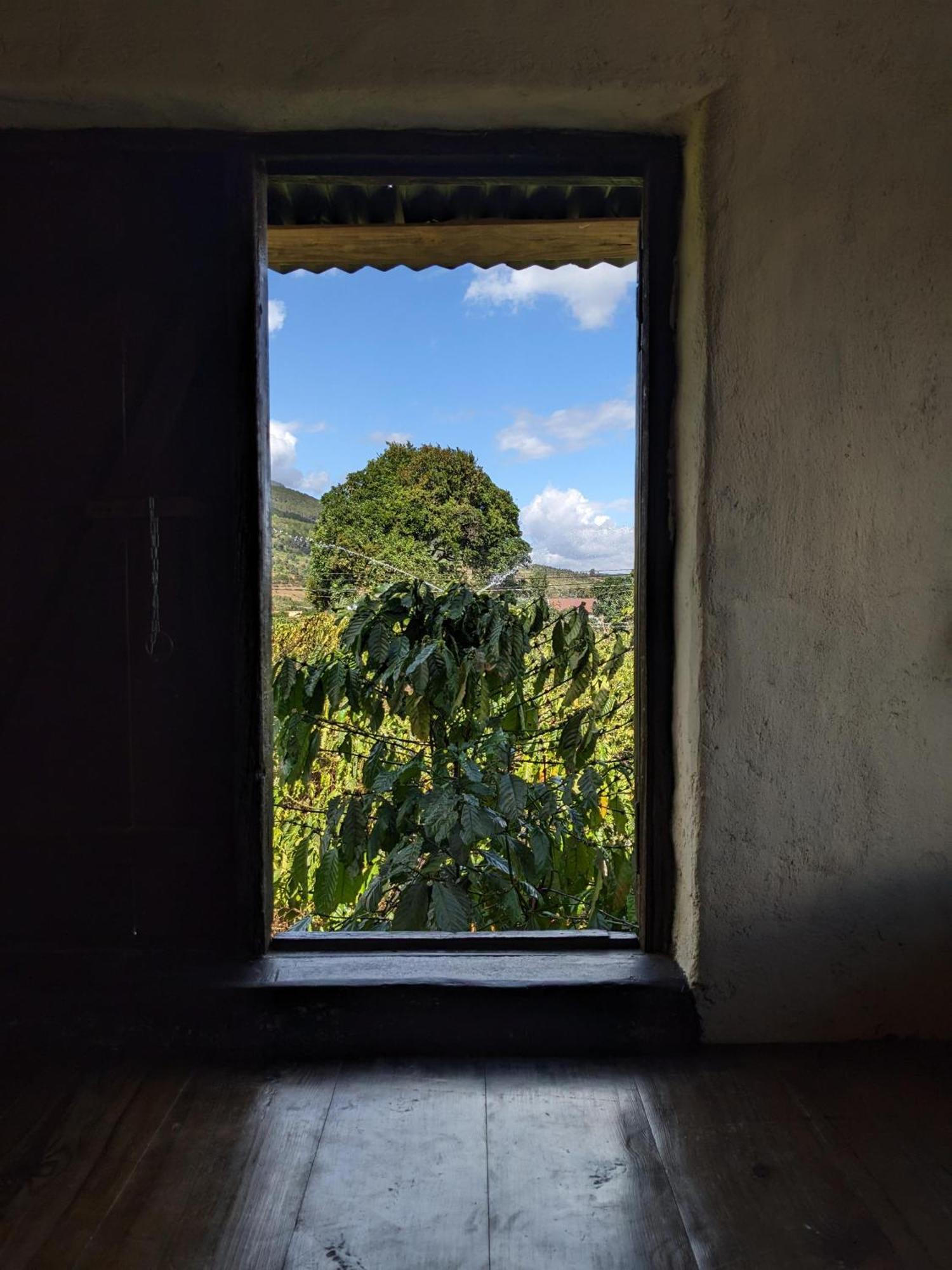 Appartamento Ivy Coffee Farm - Garden House Duc Trong Esterno foto