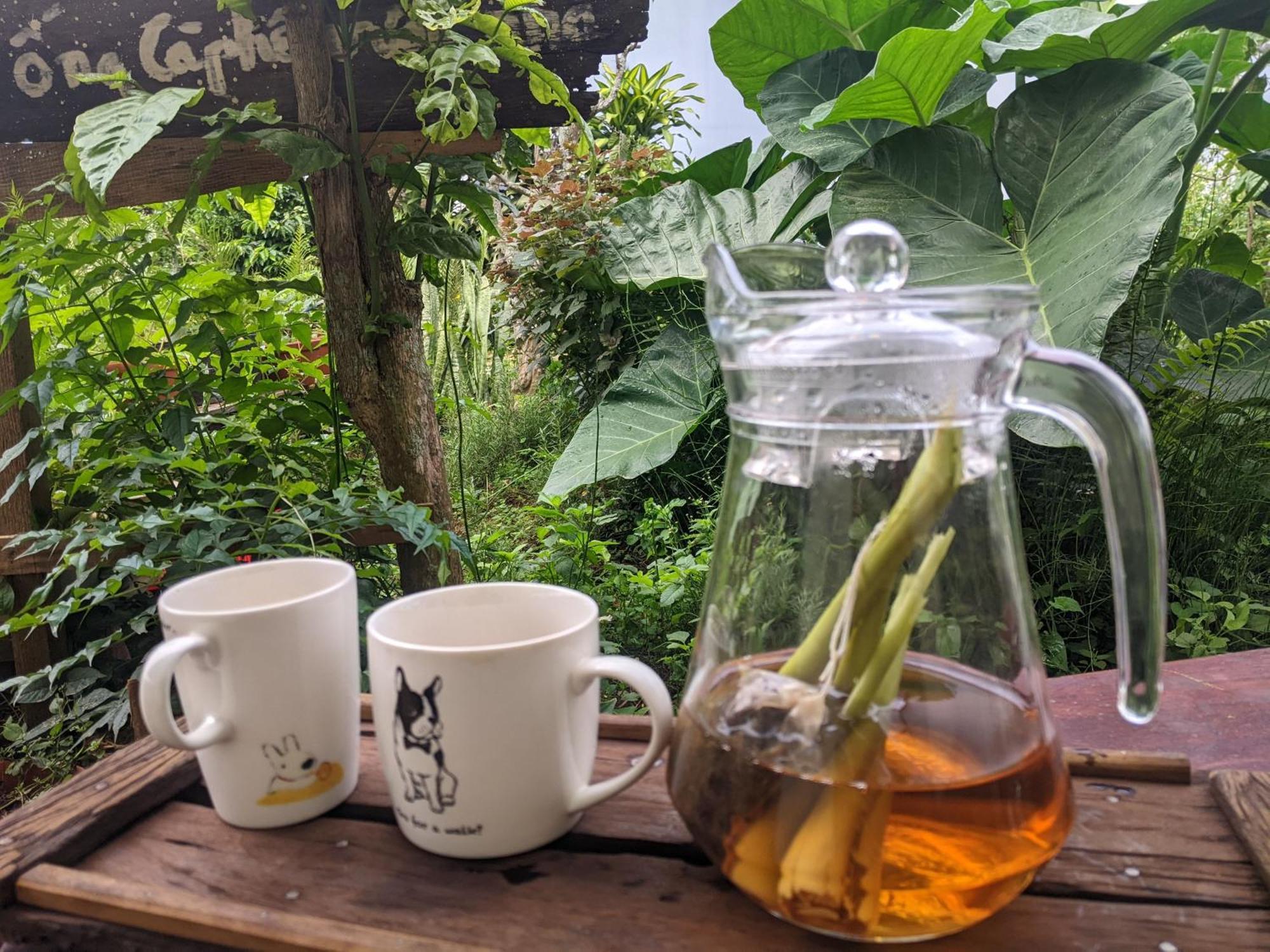 Appartamento Ivy Coffee Farm - Garden House Duc Trong Esterno foto